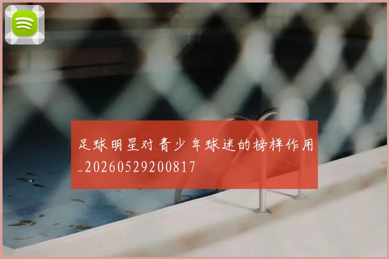 足球明星对青少年球迷的榜样作用_20260529200817