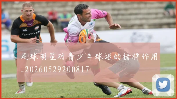 足球明星对青少年球迷的榜样作用_20260529200817